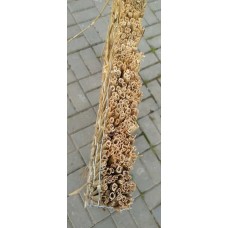 Декоративный забор из камыша секционный толщиной 5 см